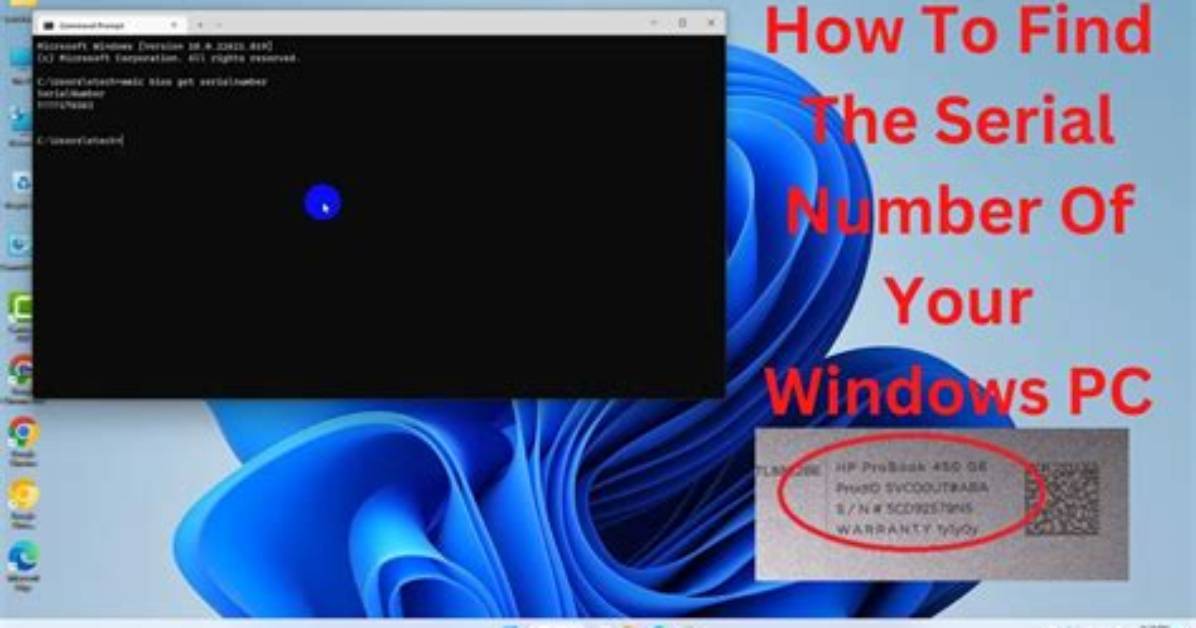 How Do I Find My Windows Server Build Date?