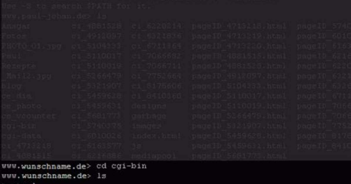 How Do I Find Perl Version in Linux?