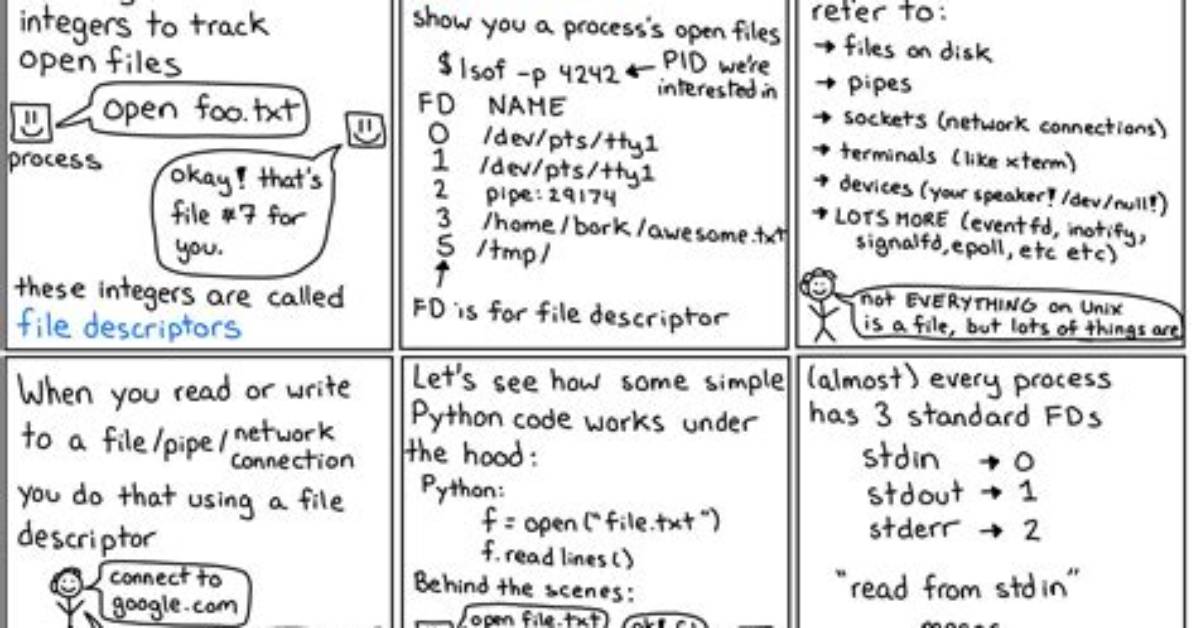 How Do I Find the File Descriptor in Linux?