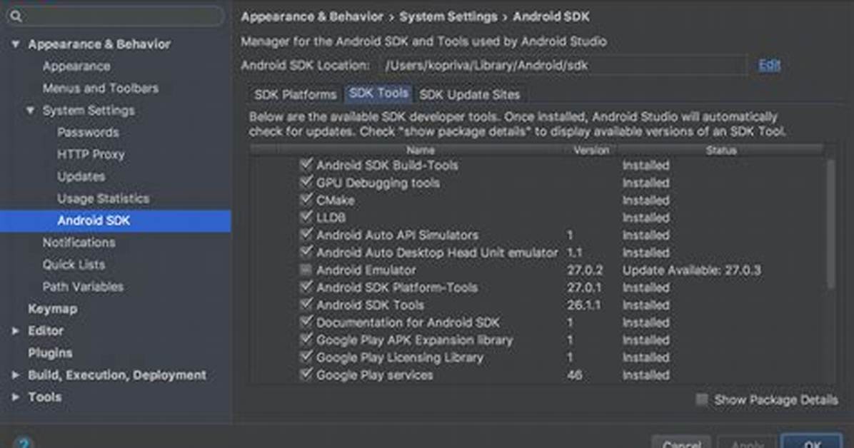 How Do I Fix No Android Sdk?