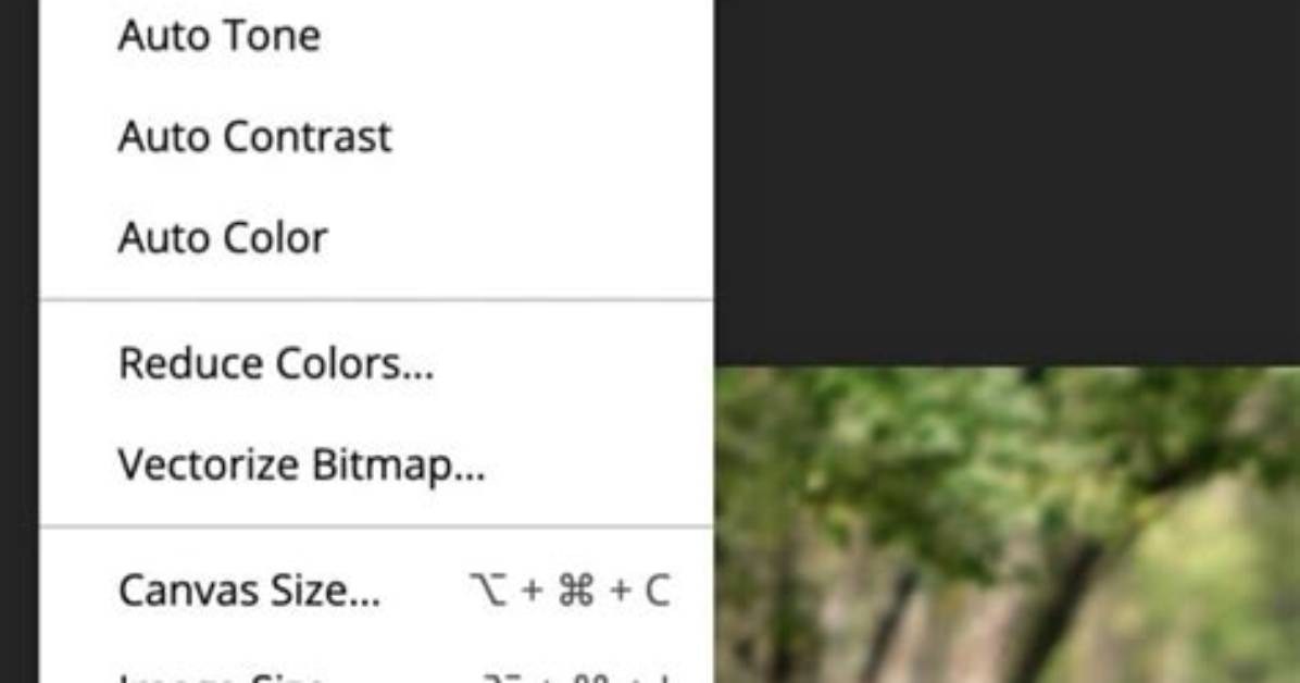 How Do I Flip a Layer Horizontally in Photoshop?