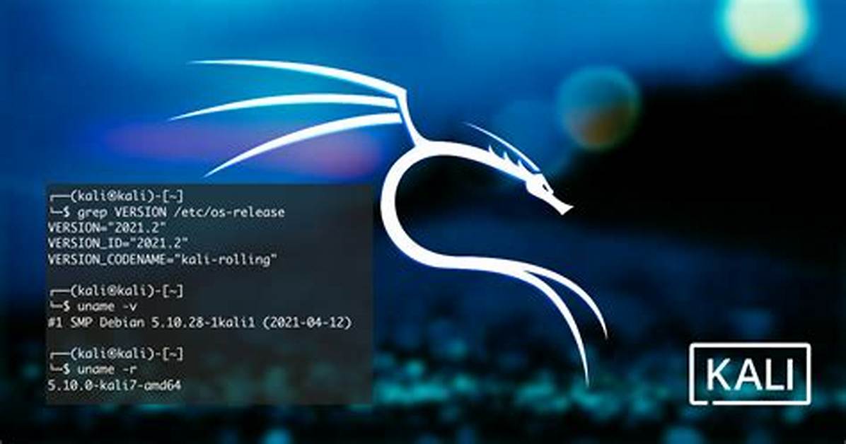How Do I Fullscreen Kali Linux?