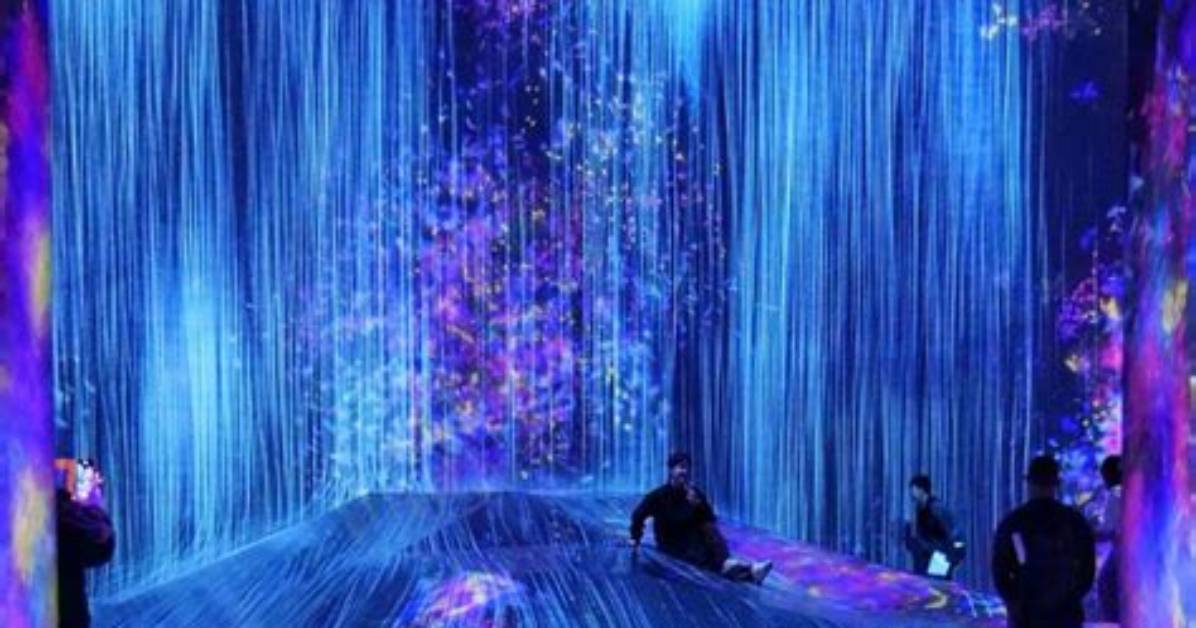 How Do I Get into teamLab Borderless