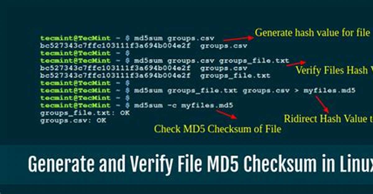 How Do I Get Md5Sum in Linux?