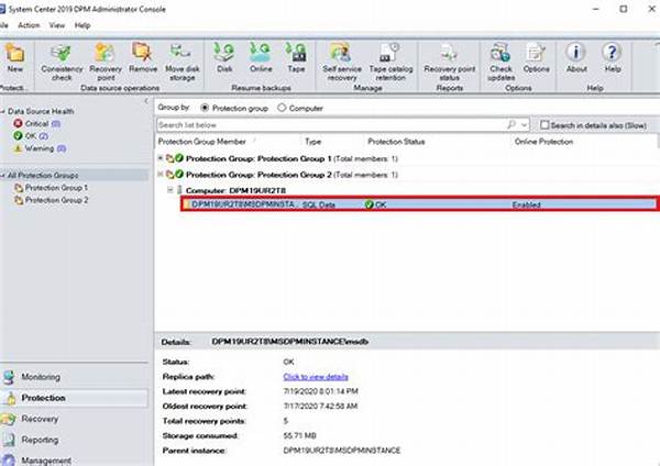 How Do I Get Microsoft Dpm?