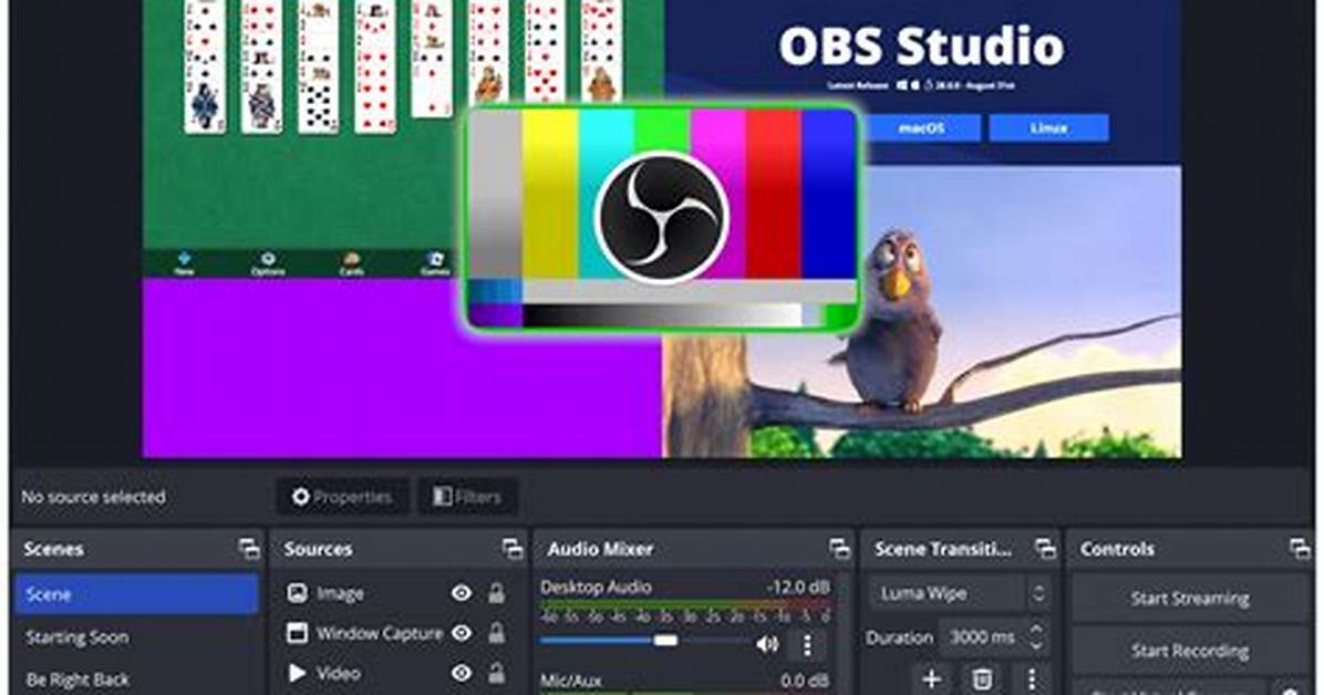 How Do I Get Obs on Windows 10?