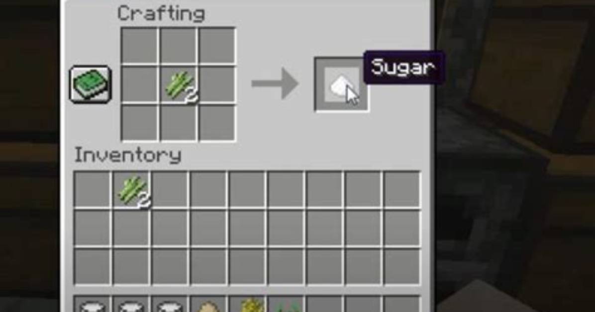 How Do I Get Sugar in Minecraft
