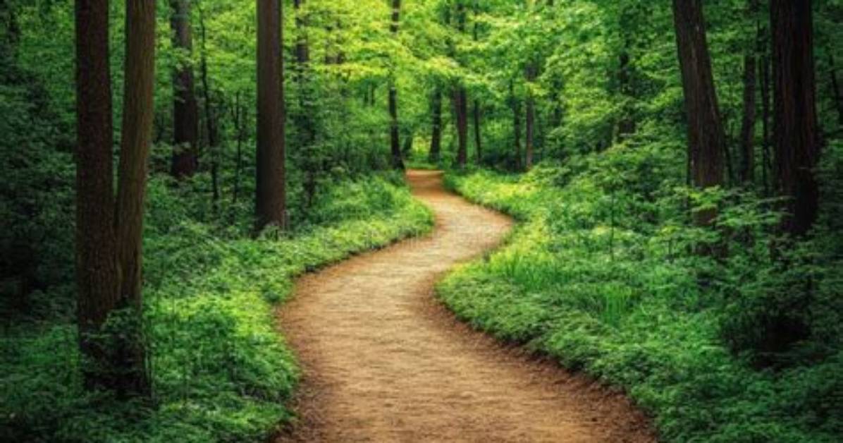 How Do I Get the Path to the Current Script with Node. Js?