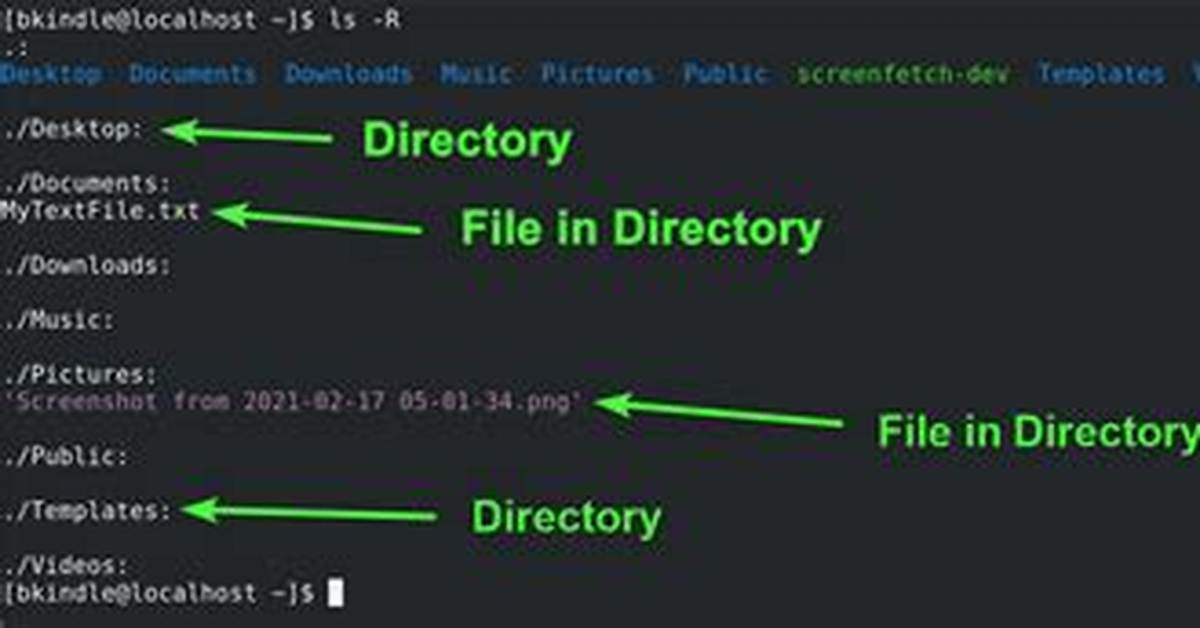 How Do I Go Back a Directory in Ubuntu?