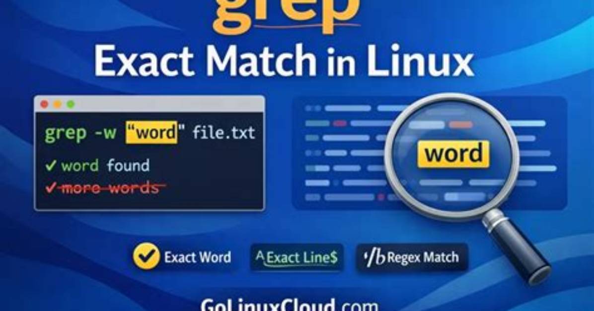 How Do I Grep Exact String in Linux?