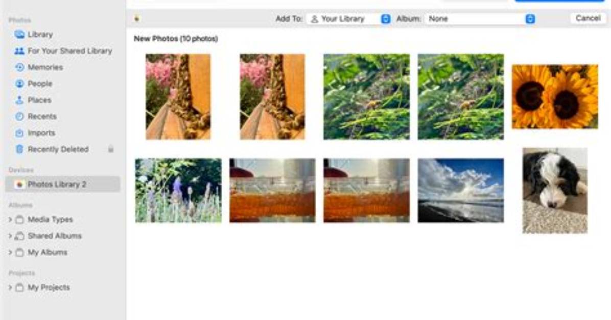 How Do I Import iPhoto Library into Lightroom?