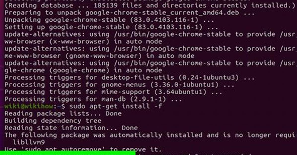 How Do I Install Chrome on Linux Mint 20?