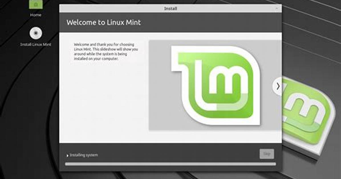 How Do I Install Linux Mint Without Deleting Data?