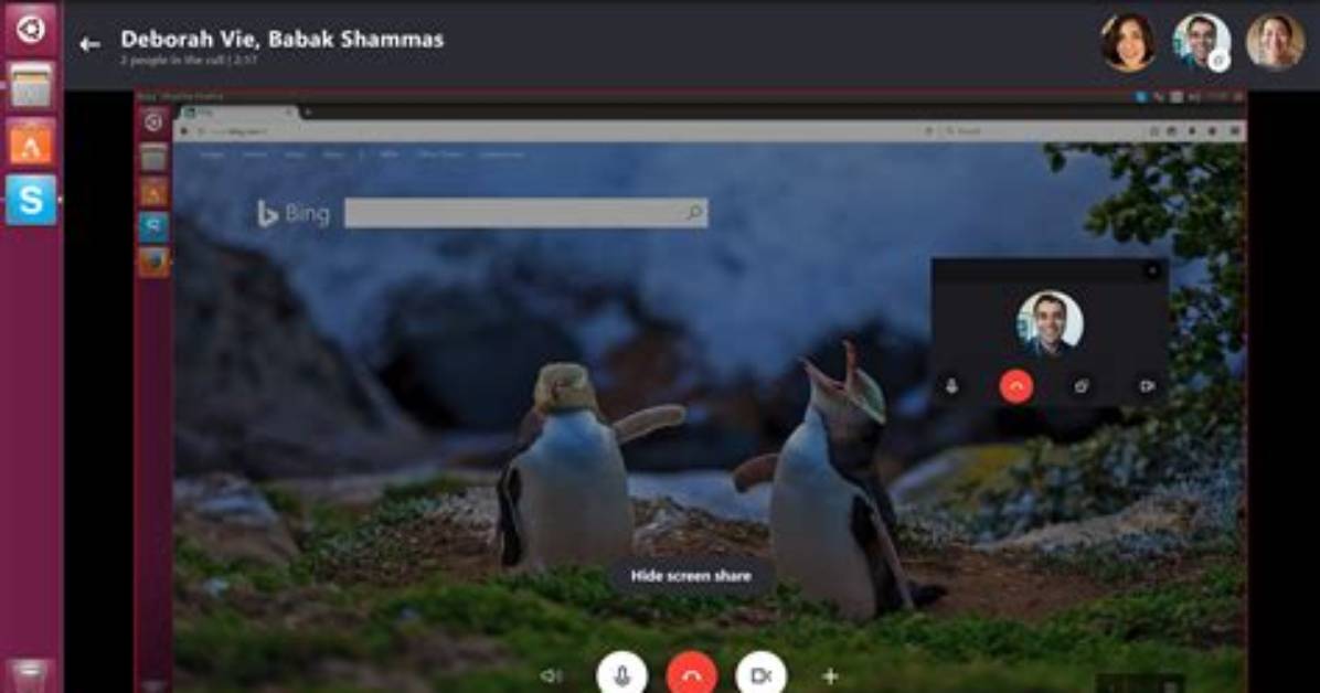 How Do I Install Skype on Linux?
