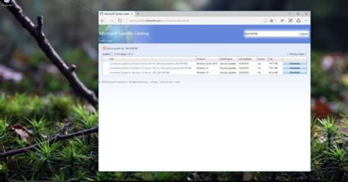 How Do I Install Windows 10 Cumulative Update?