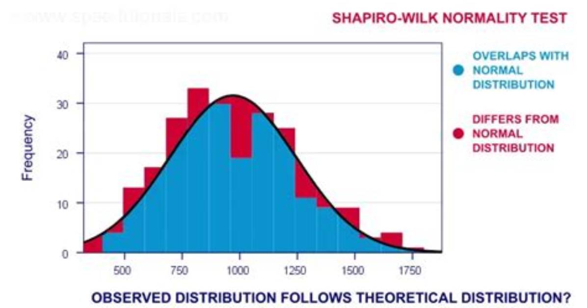 How Do I Interpret the Shapiro Wilk Test for Normality