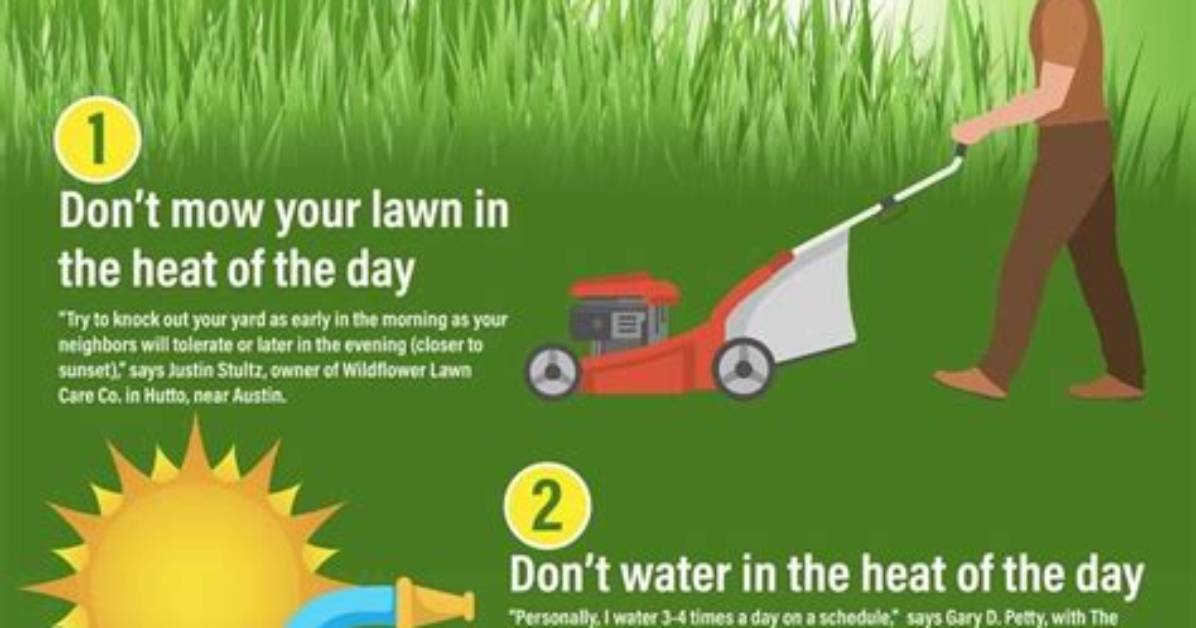 How Do I Keep My Grass Alive in the Summer?