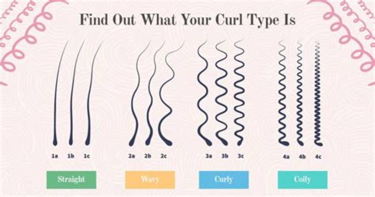 How Do I Know If Curl Is Installed Linux?