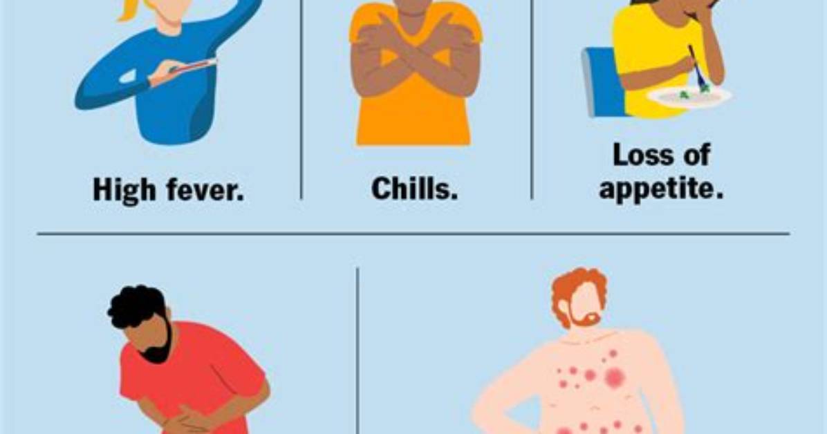 How Do I Know If My Typhoid Test Is Positive?