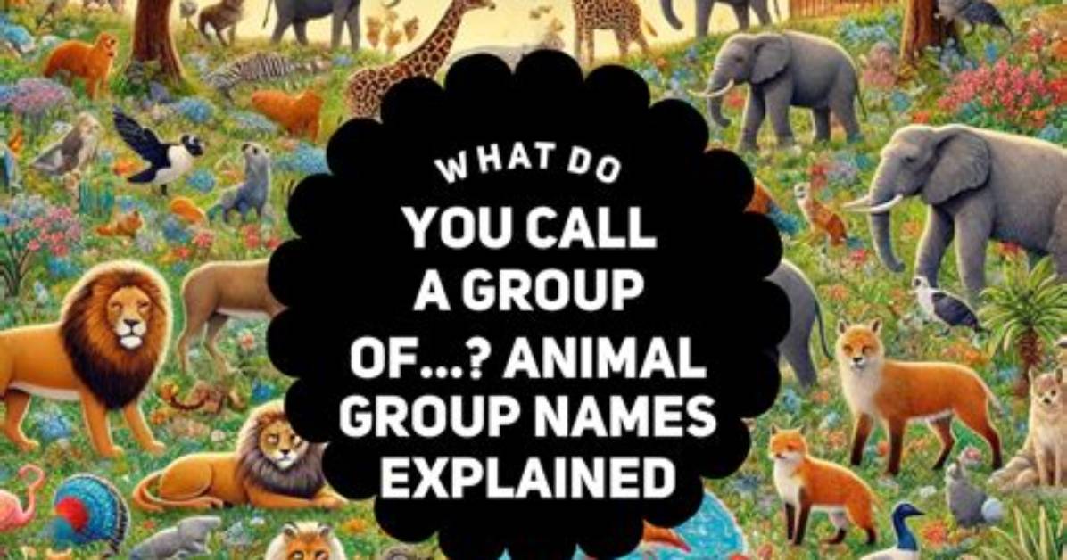 How Do I Know What Group a User Is in Unix?