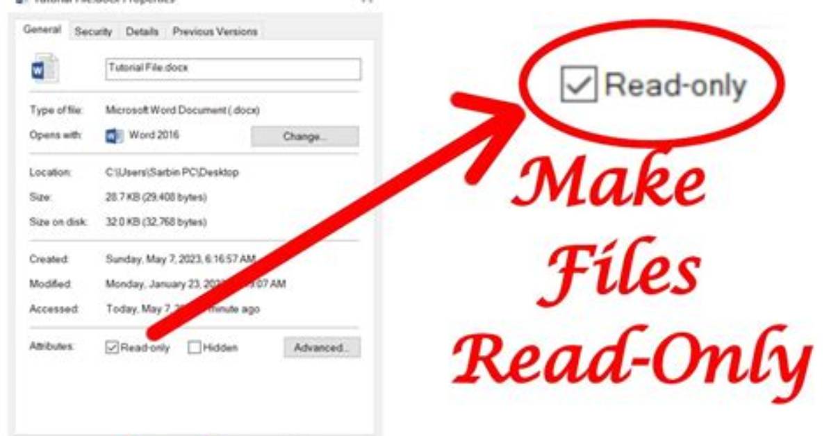 How Do I Make a File Read Only in Linux?