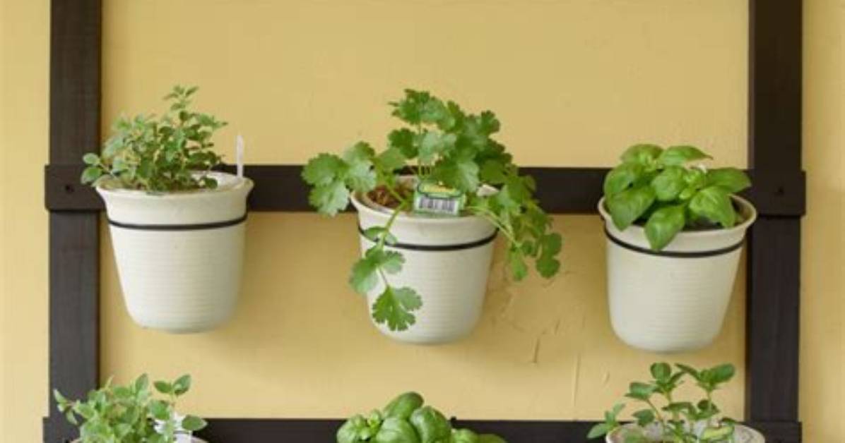 How Do I Make an Outdoor Herb Garden
