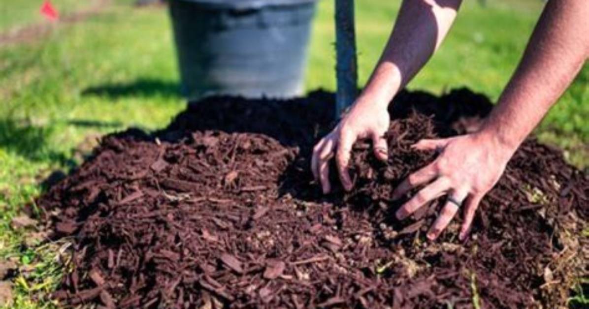 How Do I Make My Own Mulch