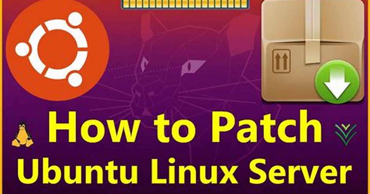 How Do I Manually Patch a Linux Server?