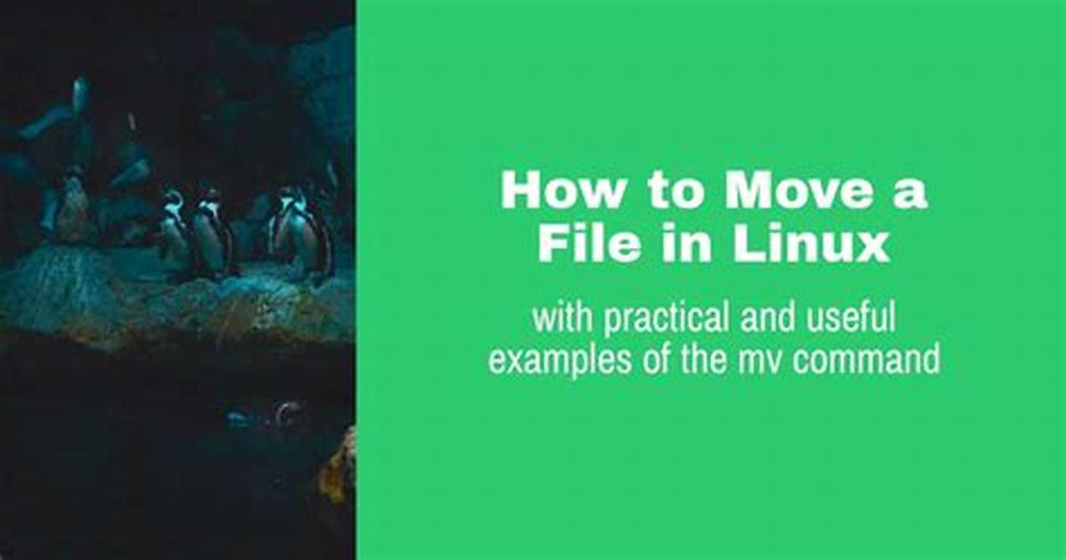 How Do I Move Linux to a New Hard Drive?