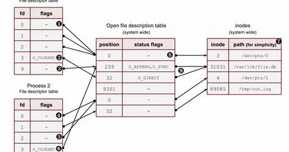 How Do I Open a File Descriptor in Linux?