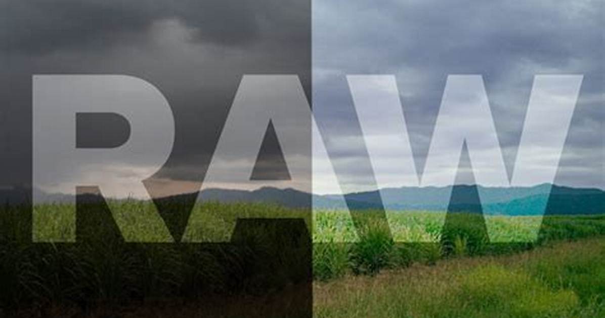 How Do I Open Nikon Raw Files in Windows 10?