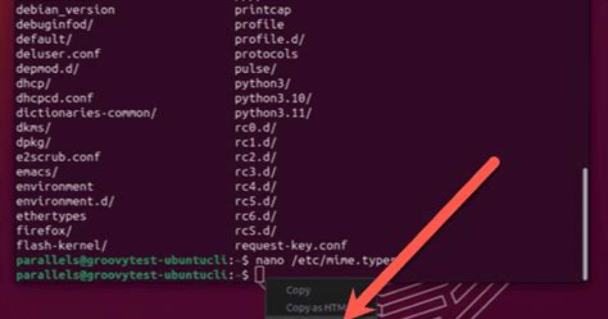 How Do I Paste Text in Ubuntu Terminal?