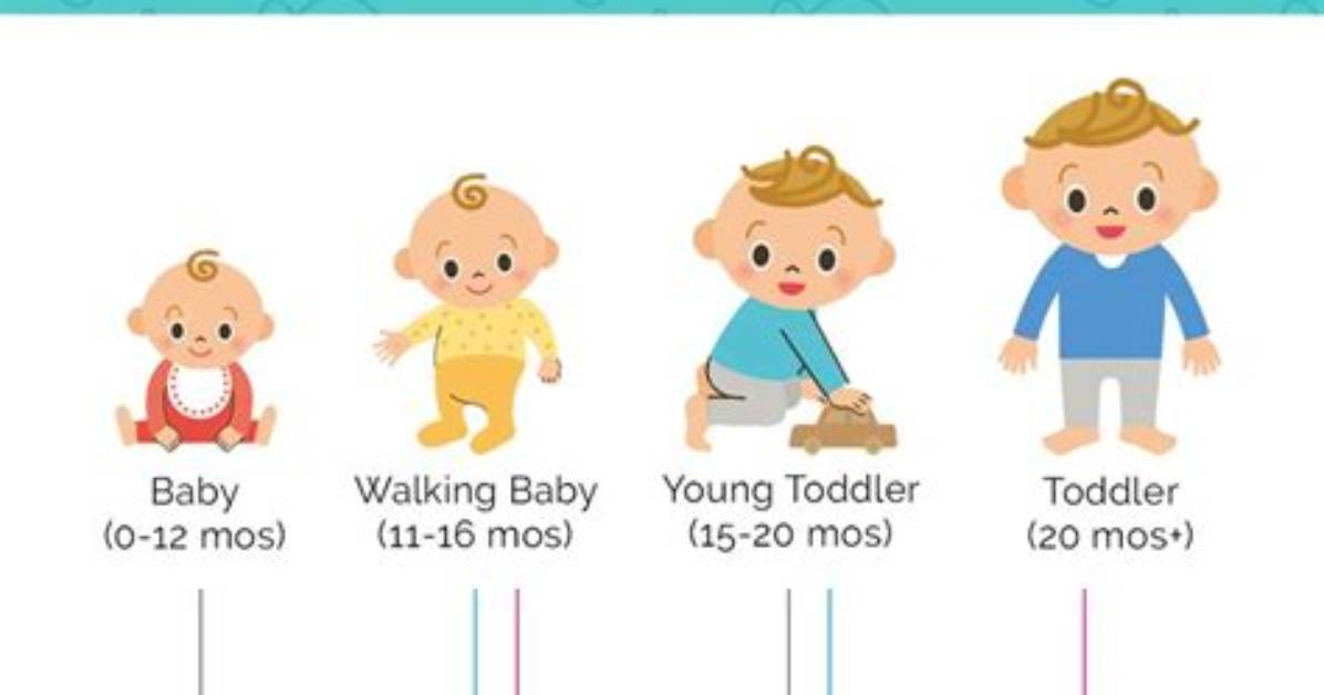 How Do I Potty Train My 2 Year Old Son?