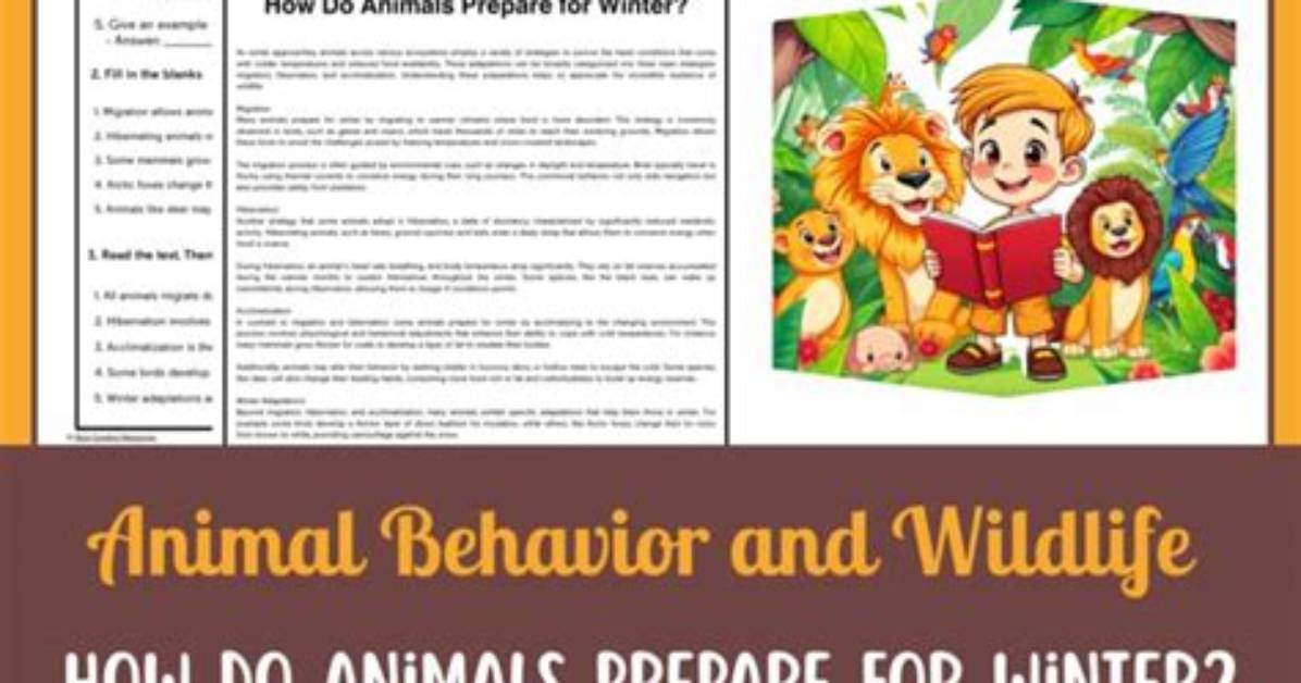 How Do I Prepare for a Reading Specialist Interview