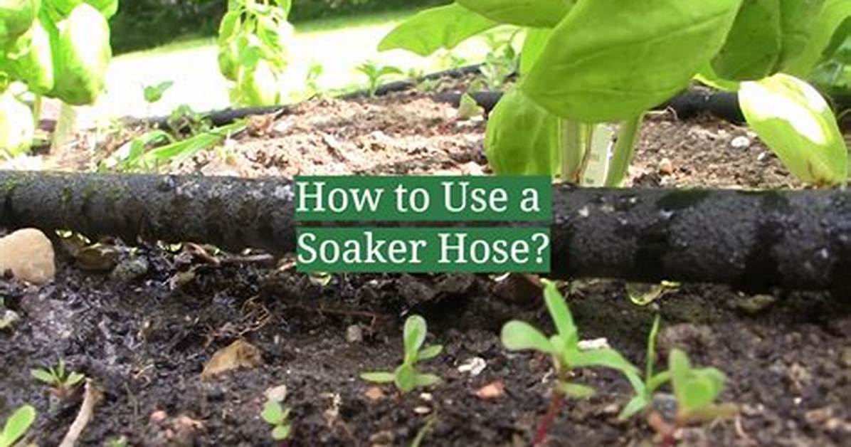 How Do I Prepare My Hose for Winter