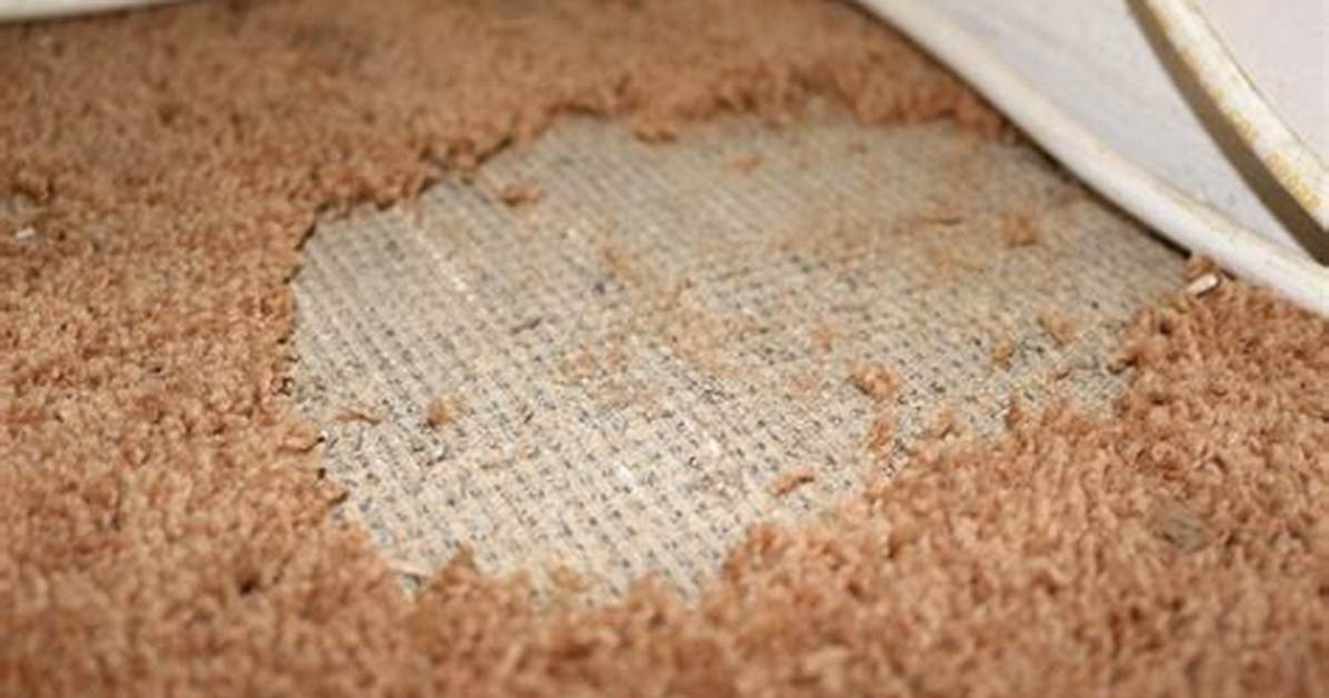 How Do I Protect My Carpet from Dirt