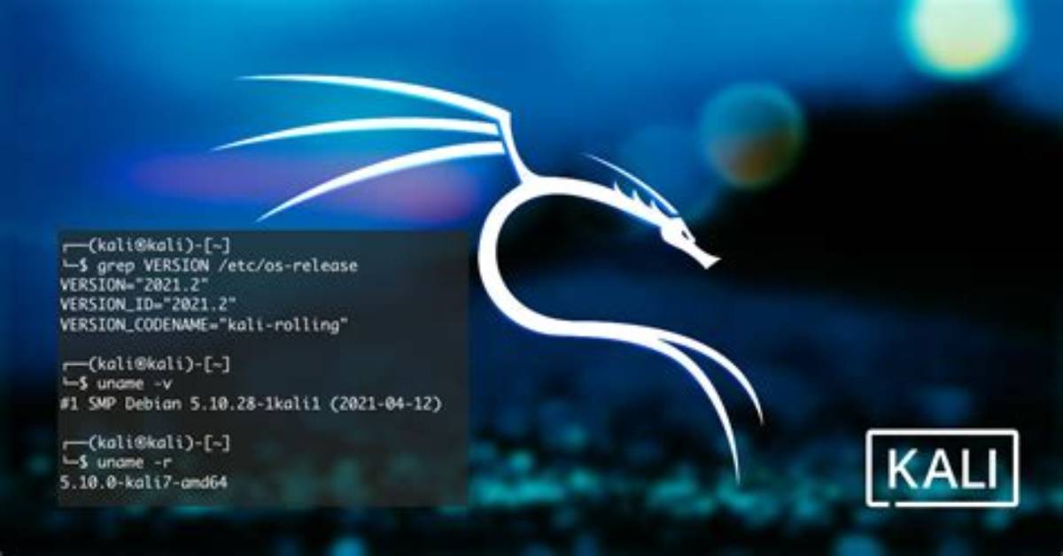 How Do I Reinstall Kali Linux?