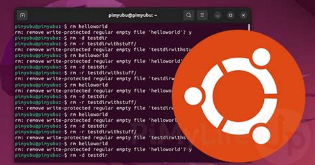How Do I Remove Ubuntu in the Bios Boot Menu?