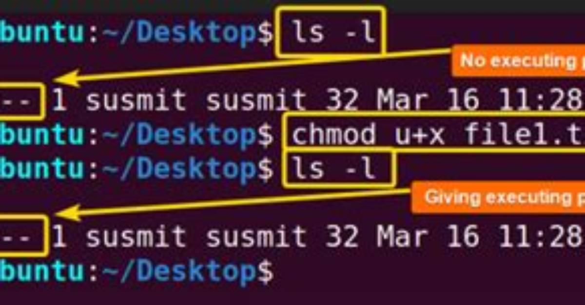 How Do I Reset Permissions in Ubuntu?