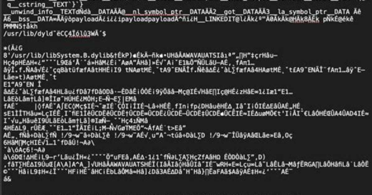 How Do I Run a Binary Executable in Linux?