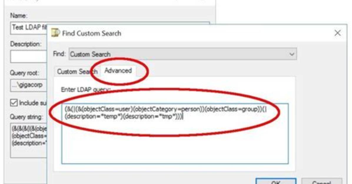 How Do I Run a Ldap Query