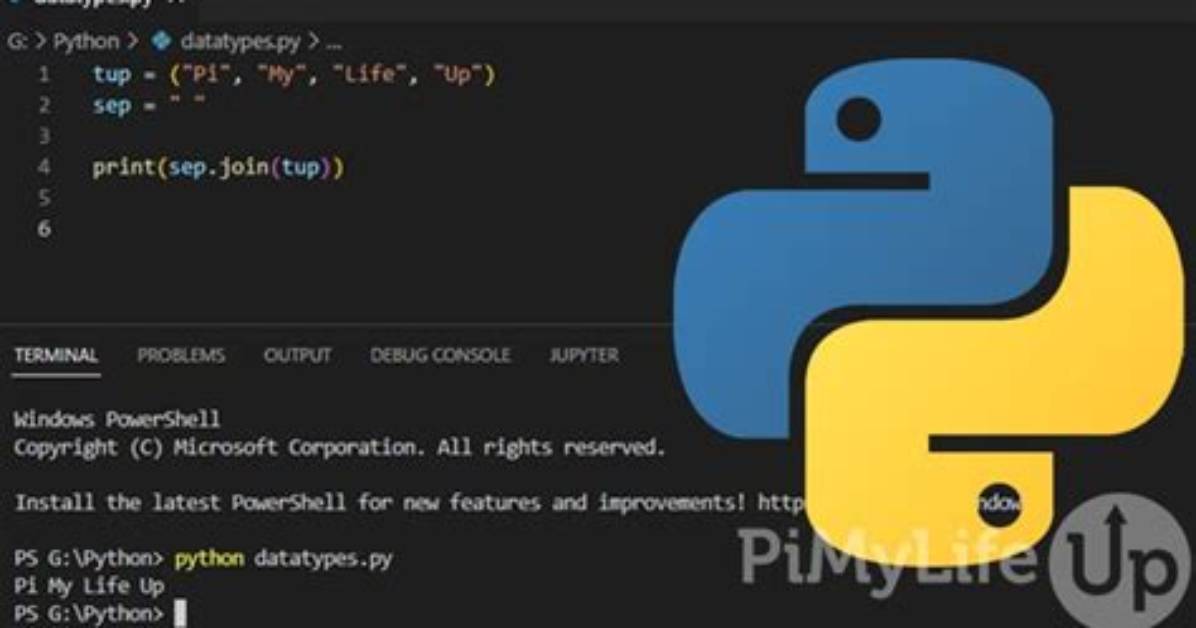 How Do I Run a Python Program in Visual Studio Code