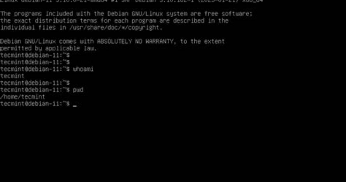 How Do I Run Headless in Linux?