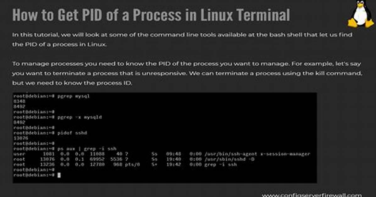 How Do I Run Pid in Linux?