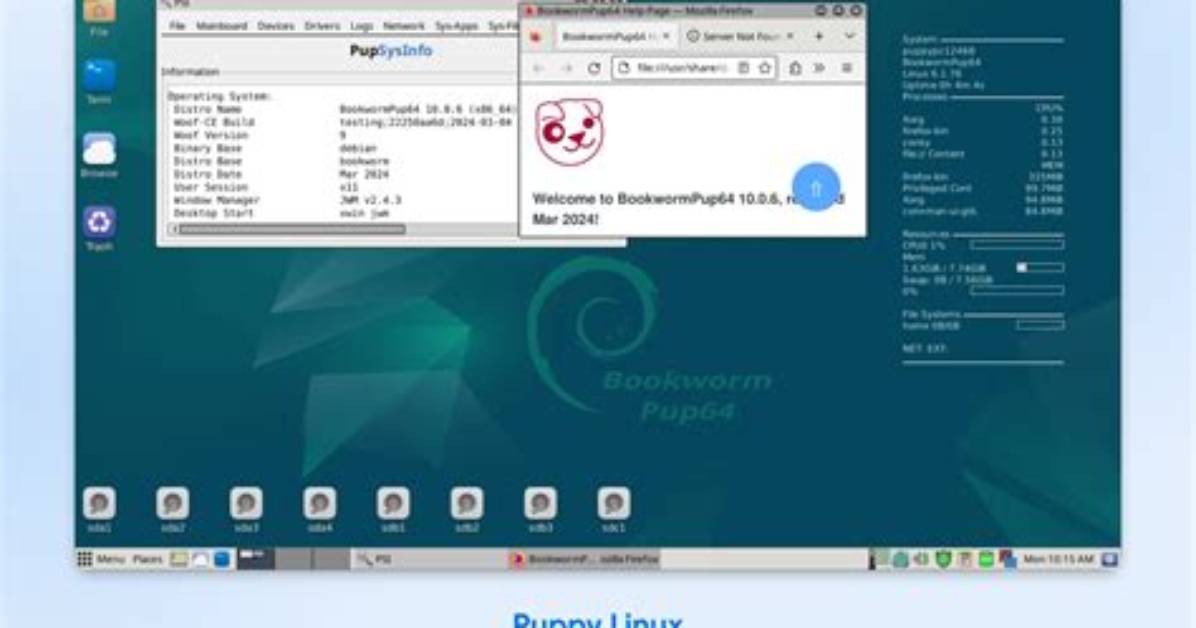 How Do I Run Puppy Linux?