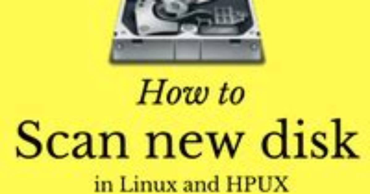 How Do I Scan a New Disk in Ubuntu?