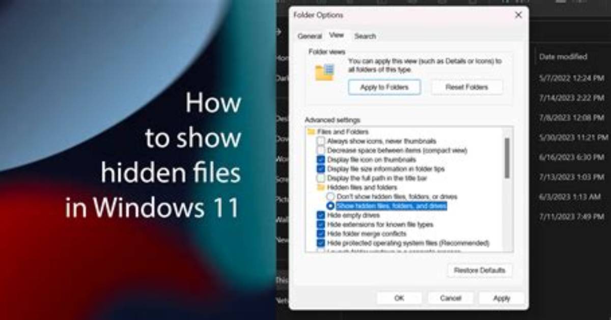 How Do I Search Hidden Files in Windows 7?