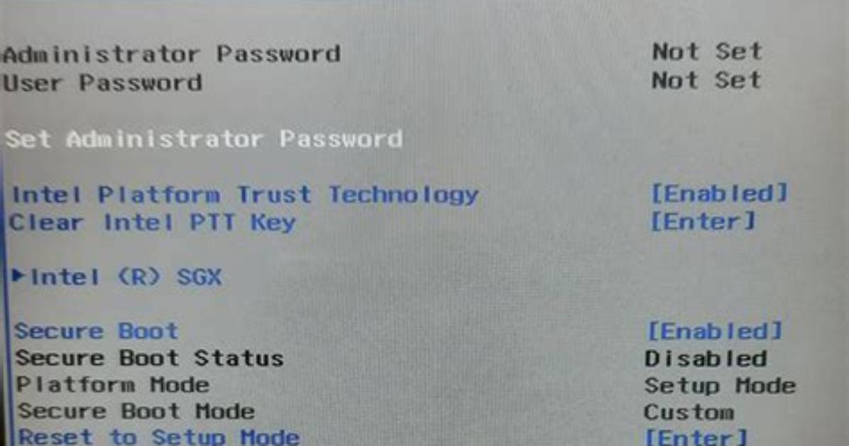 How Do I Secure Boot into Bios?