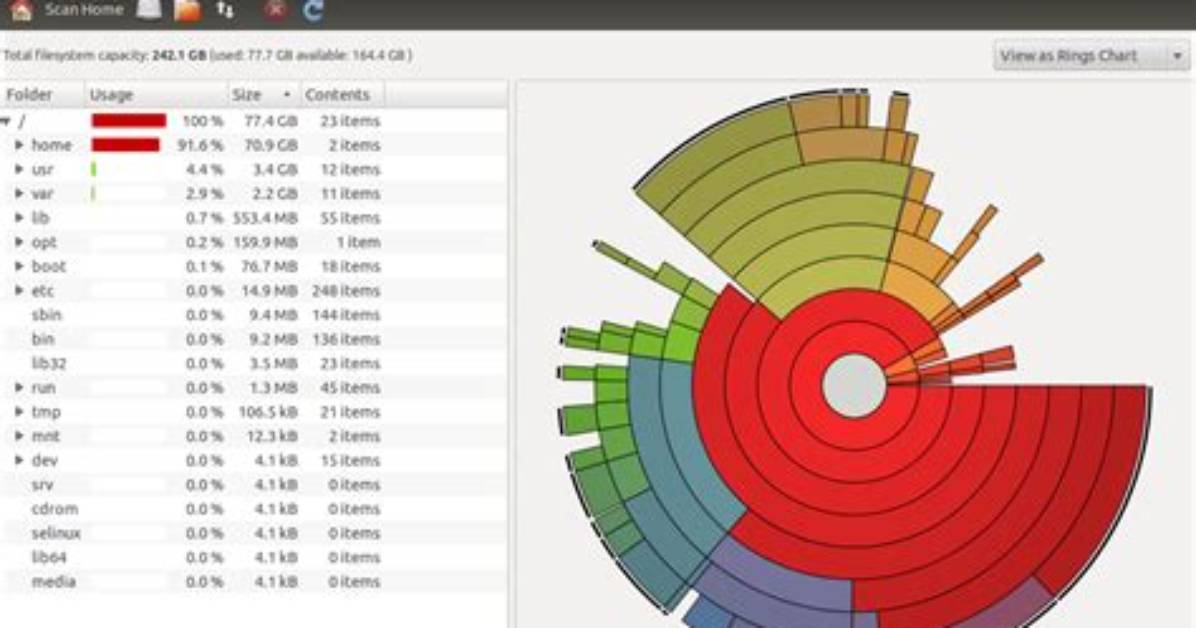 How Do I See Disk Usage in Linux?