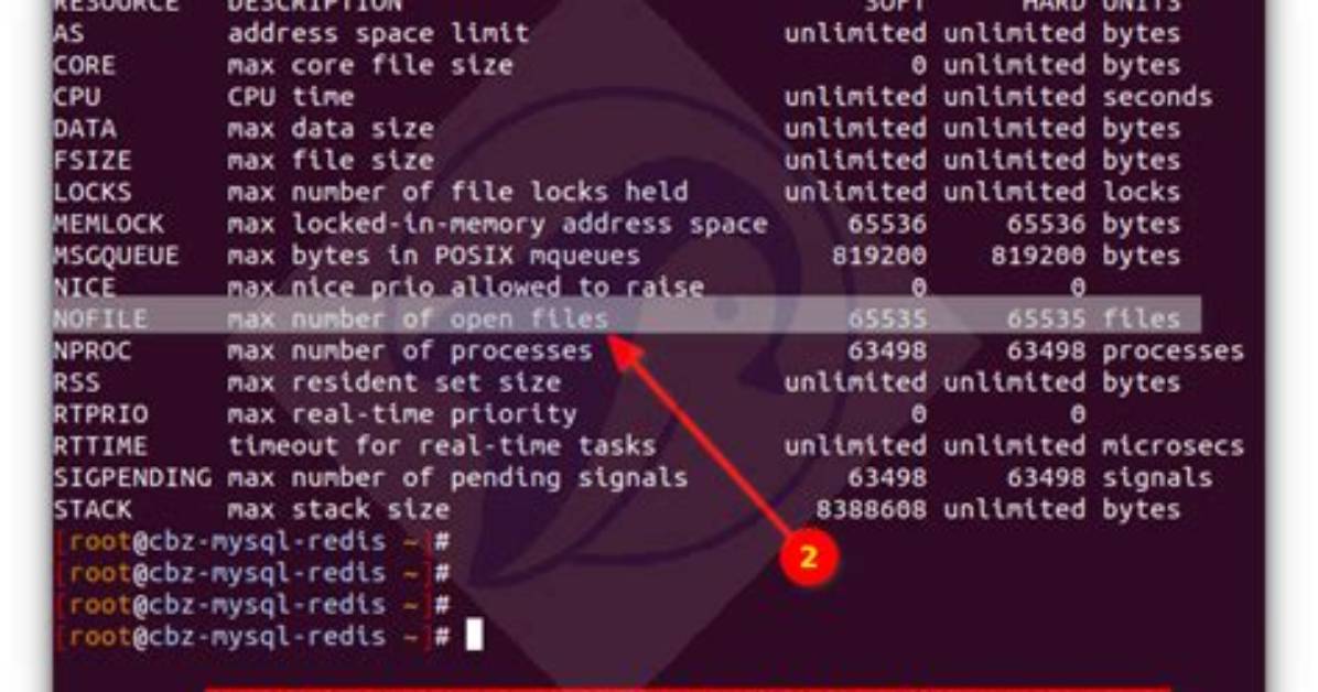 How Do I See Limits in Linux?